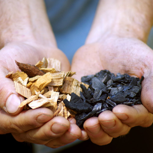 biochar