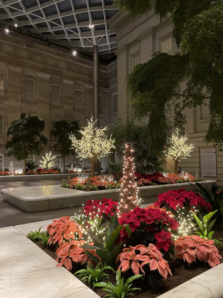 Holiday Display with poinsettias in the Robert and Arlene Kogod Courtyard in the Smithsonian American Art Museum.