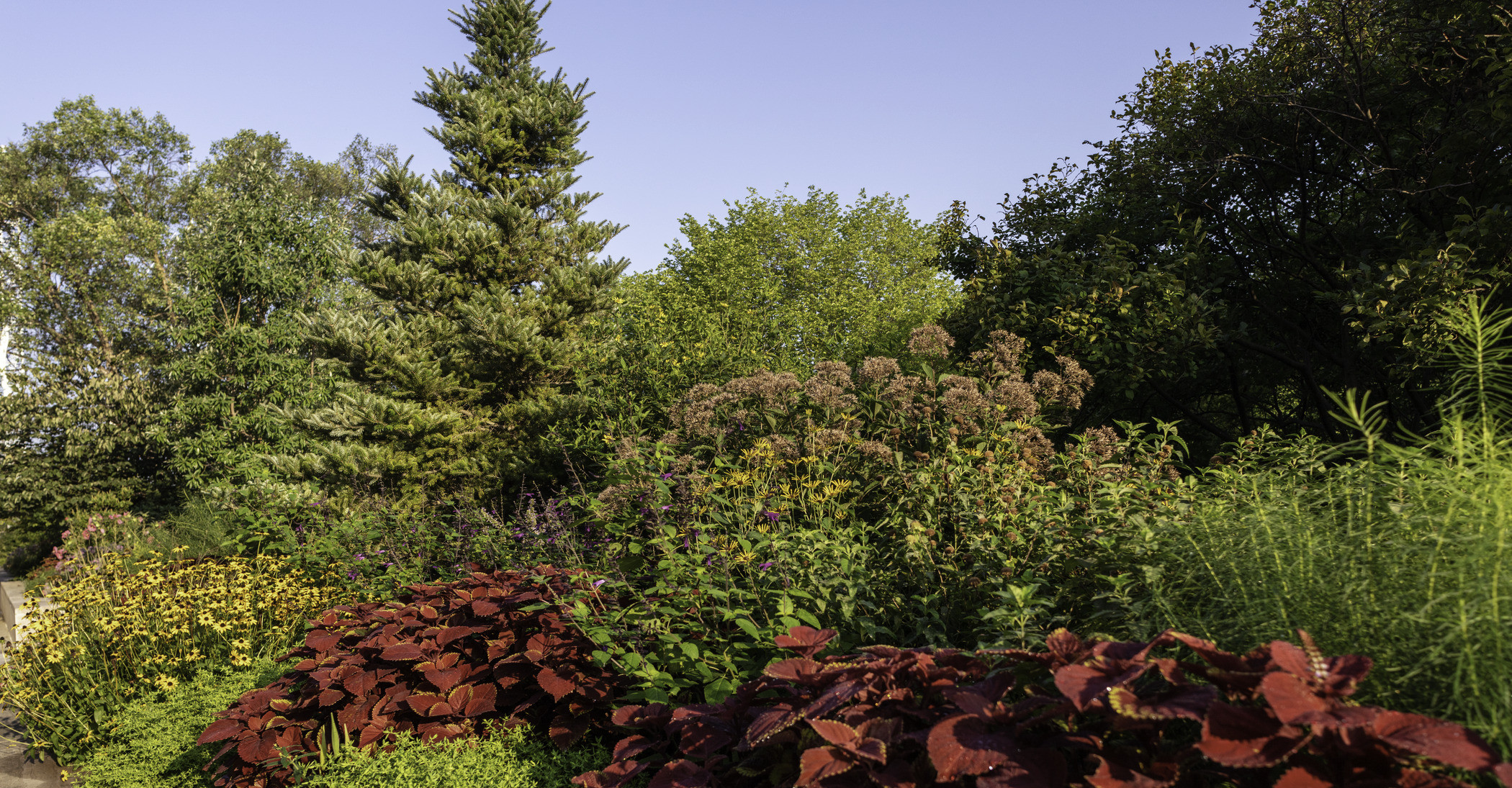 Photo of the landscape and plants at the National Air and Space Museum