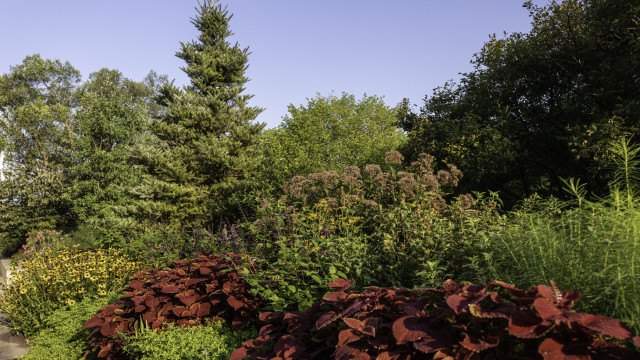 Photo of the landscape and plants at the National Air and Space Museum