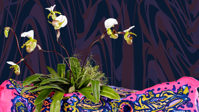 The Future of Orchids Exhibit promotion image