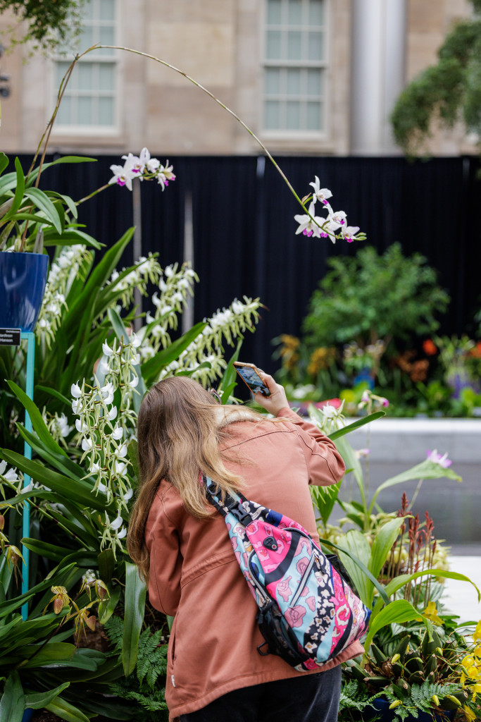 a visitor enjoys The Future of Orchids exhibit