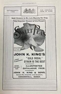 Advertisement from The Sweet Pea Annual of 1918. Seedsmen John K. King & Sons of Essex, England deemed sweet peas ‘The Popular Flower of the People.’ W. Atlee Burpee & Co. Records.