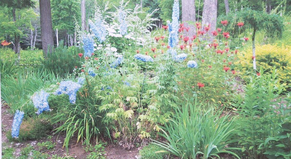 Fran's main garden bed