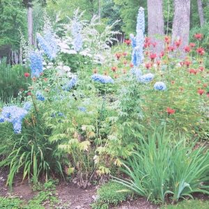 Fran's main garden bed