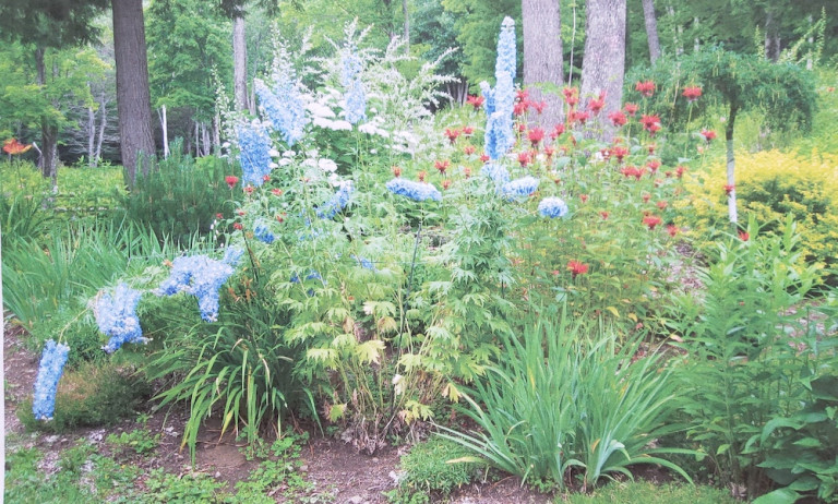 Fran's main garden bed