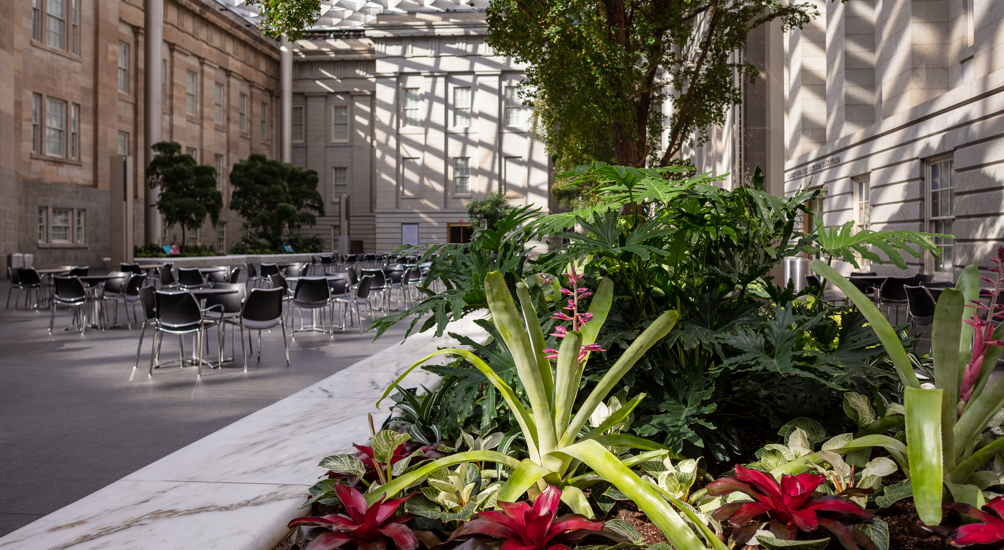 Photo of interior garden bed in the Kogod Courtyard of the Smithsonian American Art Museum and National Portrait Gallery.