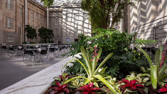 Photo of interior garden bed in the Kogod Courtyard of the Smithsonian American Art Museum and National Portrait Gallery.