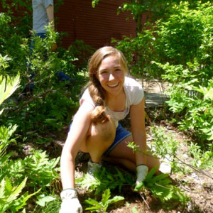 Garden volunteers weeding the Margaret Ellis garden in front of the Allen Center.