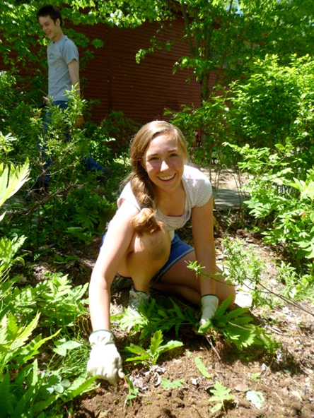 Garden volunteers weeding the Margaret Ellis garden in front of the Allen Center.