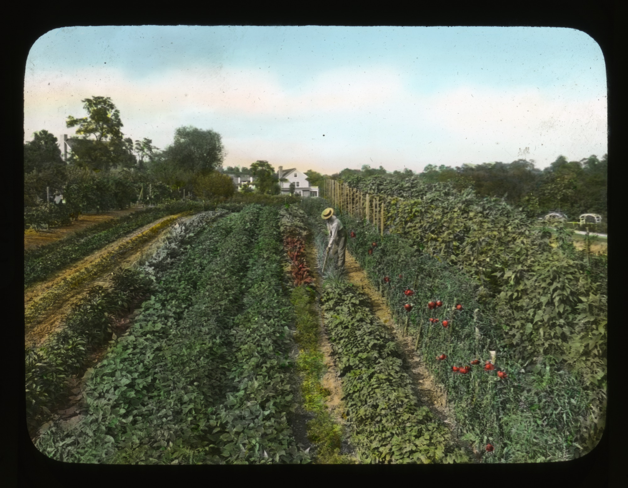 Elevated view of Breeze Hill, circa 1930. Smithsonian Institution, Archives of American Gardens, J. Horace McFarland Collection.