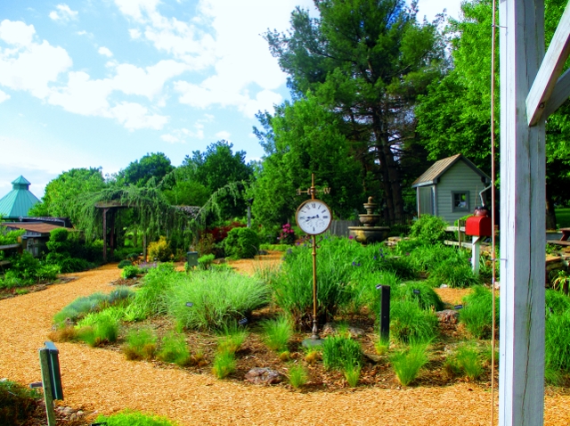 Sunshine in the Demonstration Garden