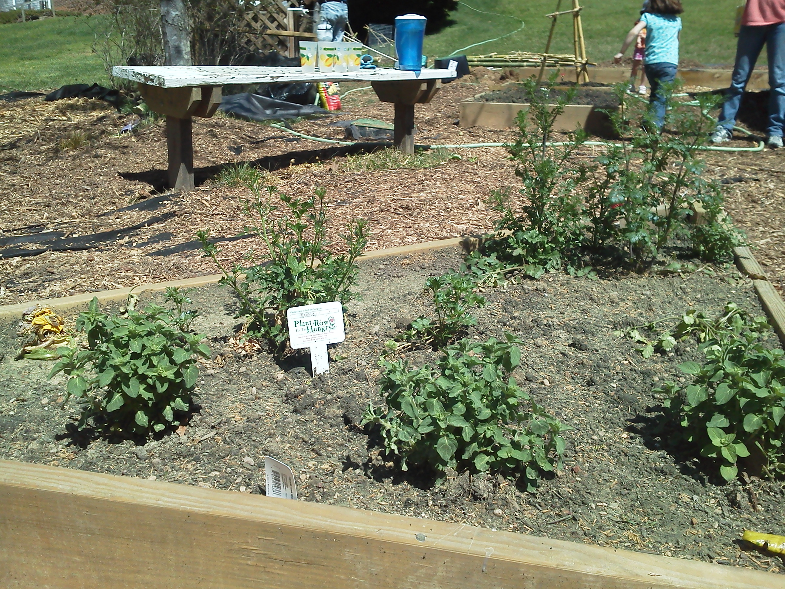 Raised garden beds