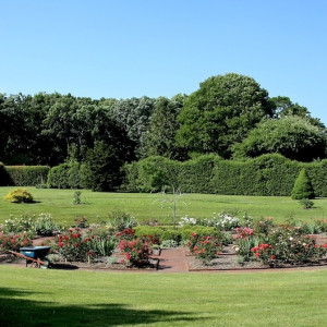 Bridge Garden photographed by Jeff Heatley.