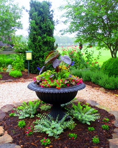 A Chance Encounter in the Demonstration Garden