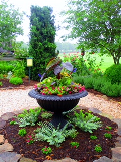 A Chance Encounter in the Demonstration Garden