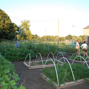 Movie nights bring the community together in the school garden.