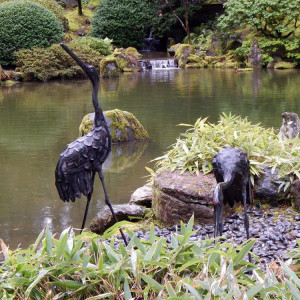 Portland Japanese Garden.