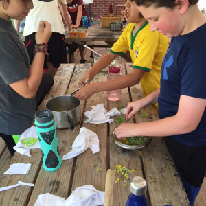 The Children's Learning Garden at Woodend Sanctuary