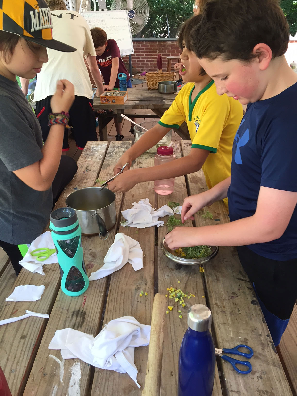 The Children's Learning Garden at Woodend Sanctuary