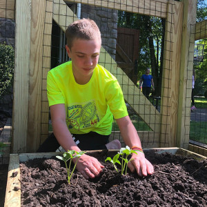 Adding plants to the beds at Ivan's Garden.