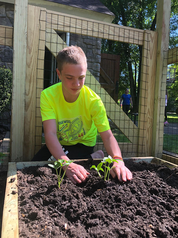 Adding plants to the beds at Ivan's Garden.