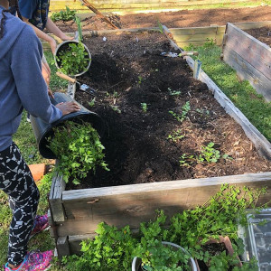 Campbell Elementary School’s Outdoor Classroom