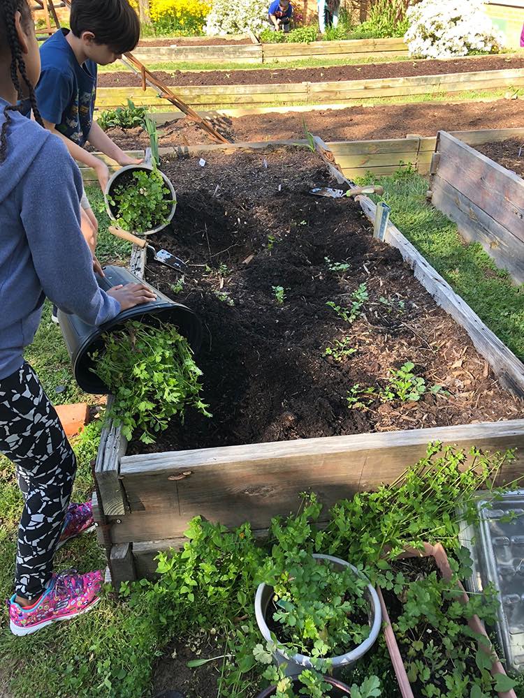 Campbell Elementary School’s Outdoor Classroom