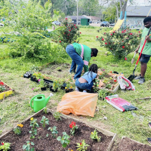 Planting Seeds of Hope