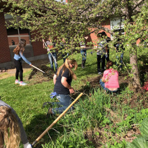 Ronan High School Native Plant Garden: A Space for Learning, Community, & Cultural Competency