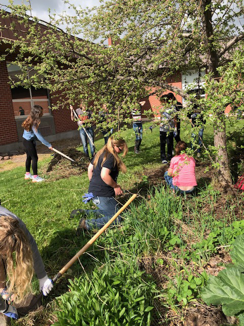 Ronan High School Native Plant Garden: A Space for Learning, Community, & Cultural Competency