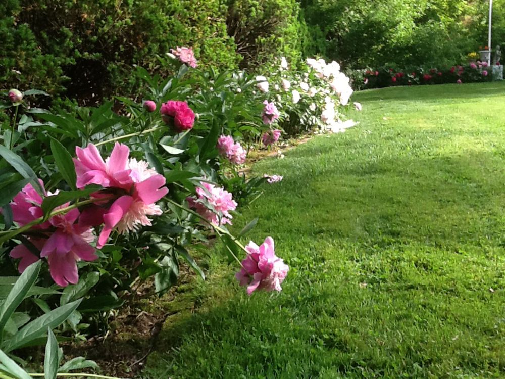 Ladue Ward III Garden