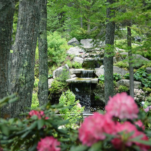 Coastal Maine Botanical Gardens