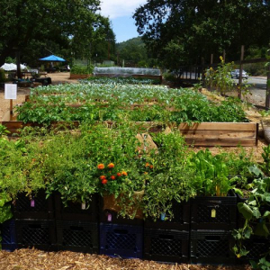 Garden bed