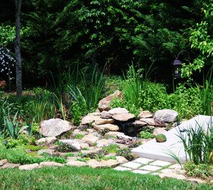 Keller house, far backyard