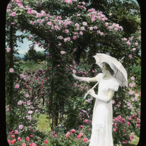 Breeze Hill garden pathway with parterre, circa 1930. Smithsonian Institution, Archives of American Gardens, J. Horace McFarland Collection.