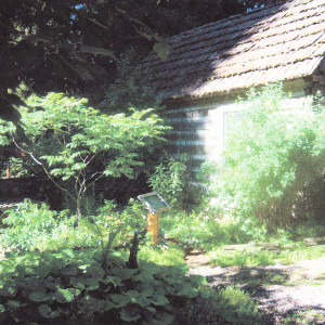 North Idaho Native Plant Arboretum medicinal Garden and cabin.