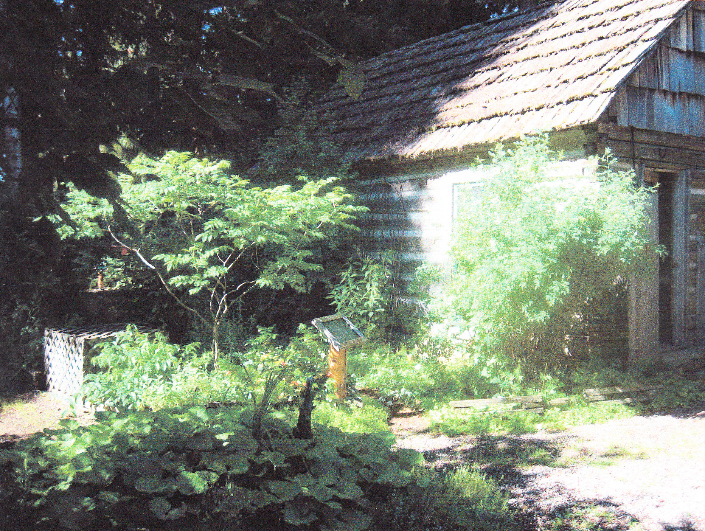 North Idaho Native Plant Arboretum medicinal Garden and cabin.