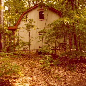 Camy in her blue calico wedding dress that she made herself, during the backyard reception. June 2, 1973.