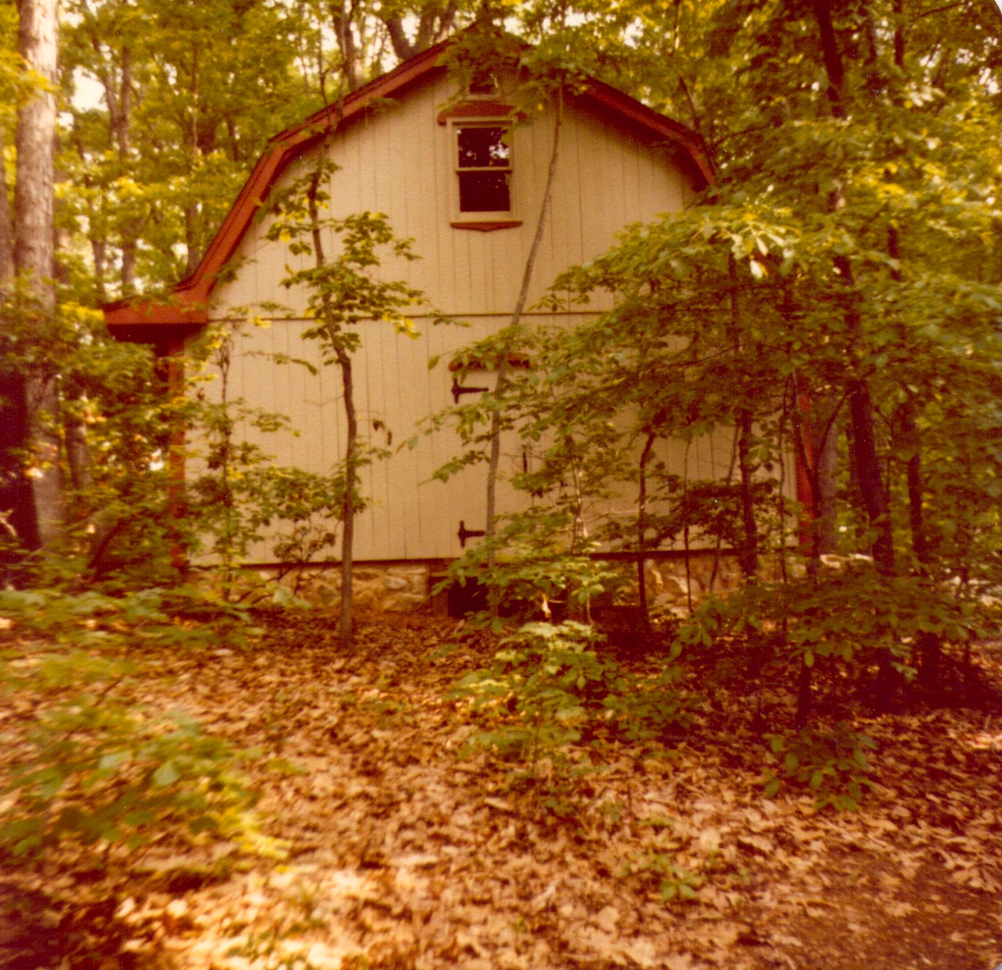 Camy in her blue calico wedding dress that she made herself, during the backyard reception. June 2, 1973.