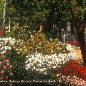 A colorized photo postcard of the rose garden and covered oyster pier at Gerbing Gardens, circa 1945-1947. Smithsonian Institution, Archives of American Gardens, Garden Club of America Collection.