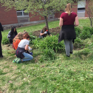 Ronan High School Native Plant Garden: A Space for Learning, Community, & Cultural Competency