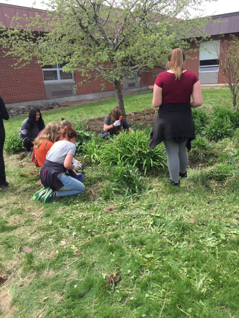 Ronan High School Native Plant Garden: A Space for Learning, Community, & Cultural Competency