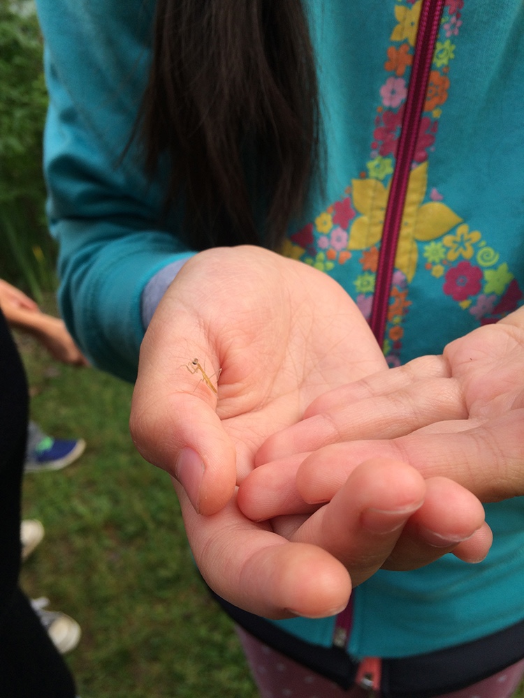 Campbell Elementary School’s Outdoor Classroom