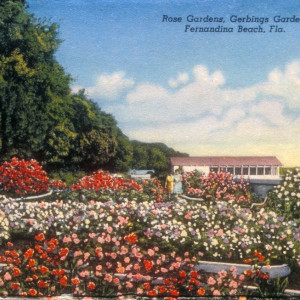 Rose garden and covered oyster pier