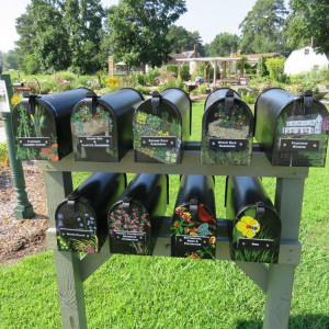 The Poquoson Learning Garden at the Poquoson Museum