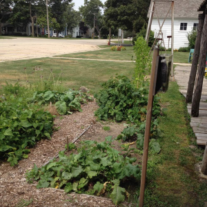 Gannon Garden in Union, Illinois