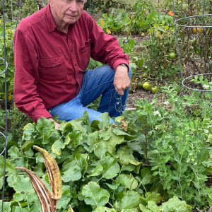 Cultivation: A Family Tradition. A photo of my grandfather in his garden (2020)