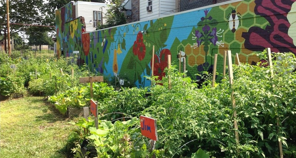 2015 photo of raised beds with vegetables and the mural at the Brewerytown Garden Story