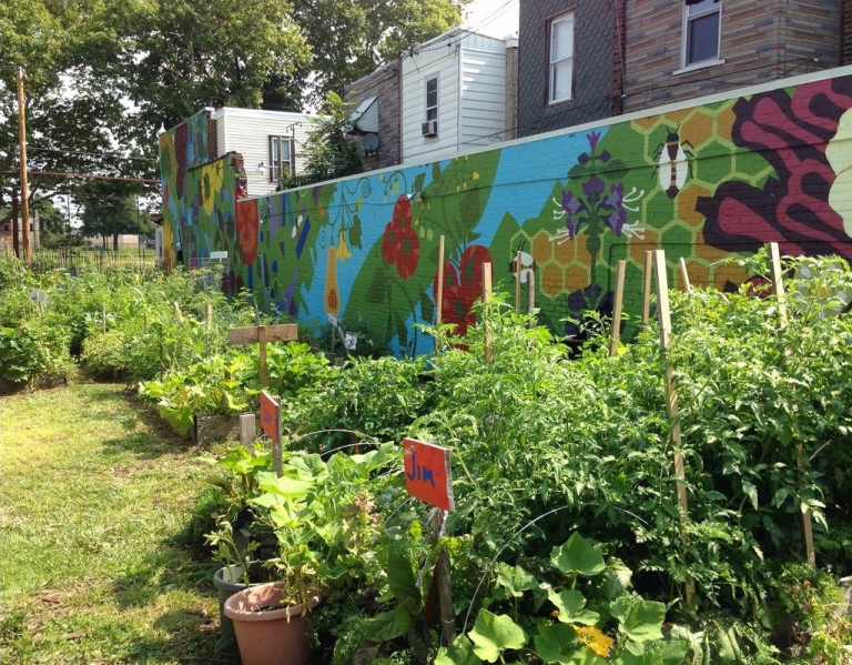 2015 photo of raised beds with vegetables and the mural at the Brewerytown Garden Story